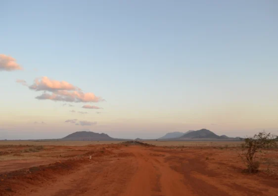 tsavo national park